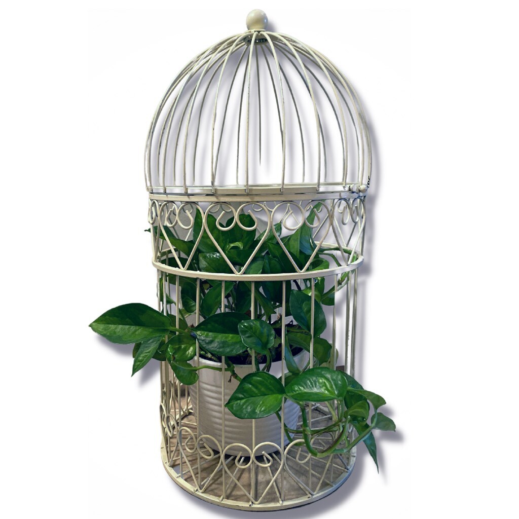 Antique Bird Cage Decor