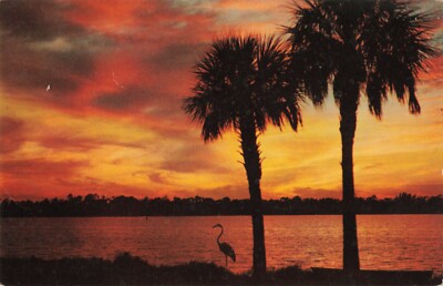 Postcard Florida Sunset Crane in Foreground T225