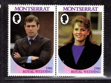 EFO Montserrat SN 615a-b missing value 1986 (Planned Error-See Description)