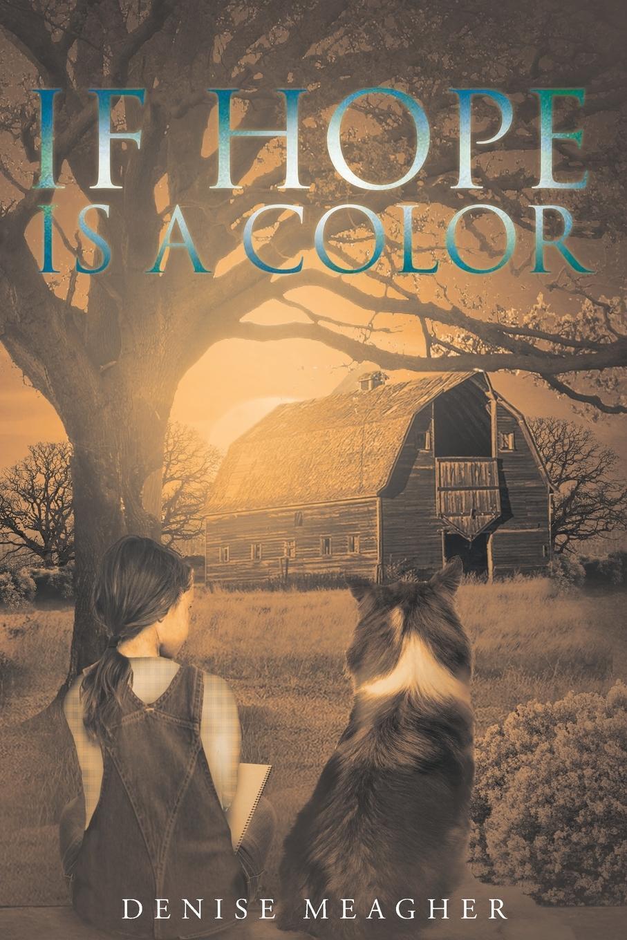 Thumbnail - If Hope Is A Color Denise Meagher Taschenbuch Paperback Englisch 2017