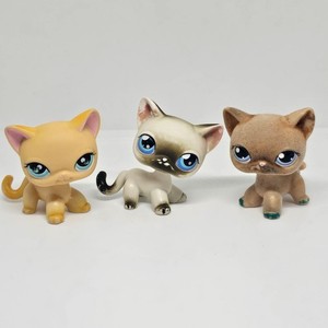Lps #318 Littlest Petshop Original Authentic Chat Europeen European Cat