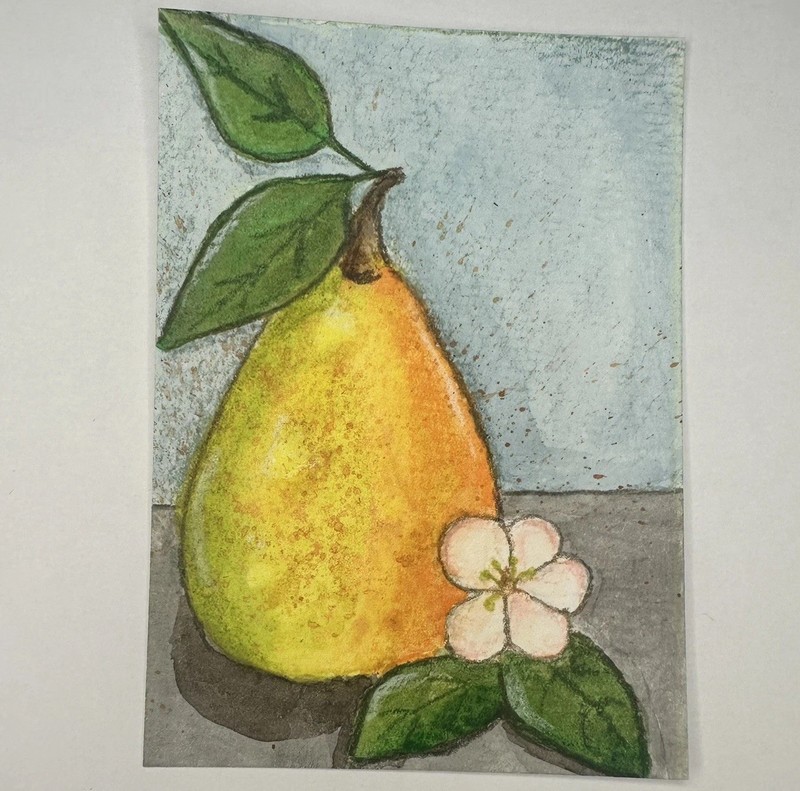 ACEO Artist Original ATC Mini Art Card Watercolor Painting Pear Fruit WendyMi34