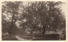 Newton on Ouse near Tollerton & York # 29 by Bramley.
