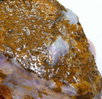 209.45  CT Unpolished Natural Rough Australian Boulder Opal Specimen