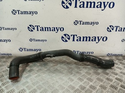 281634X900 ROHR / 281624X900 / 1232915 FÜR KIA CARNIVAL *