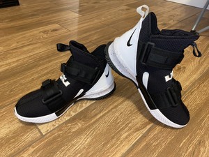 lebron soldier xiii sfg tb