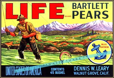 Life Pears Label Retro 1950s Style Repro Vintage Poster Retro Art