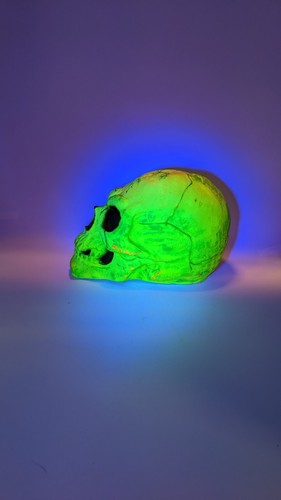 Vintage Easter Unlimited Skull Head Halloween Rubber Horror Glow Prop 10" - Picture 8 of 10