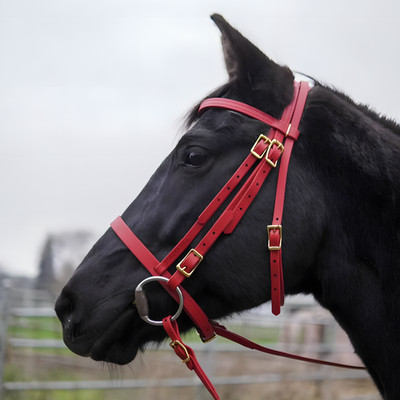 Horse Comfort Tack Padded Biothane Bridle with Free Reins & Loose Ring Bit