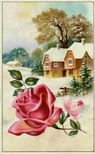 Griffin Baking Powder Sugar Bush Maple Syrup Cabin Rose Victorian Trade Card