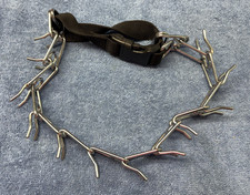 Dog Training Collar