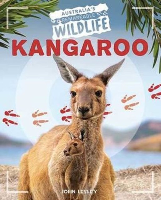 Kangaroo by John Lesley - 9781761400148 - Image 2