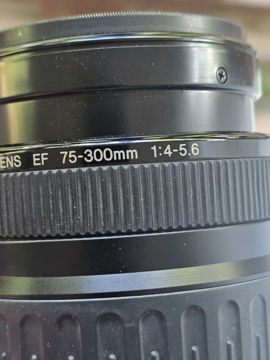 Canon EF 75-300mm f/4-5.6 III Lens Japan | eBay