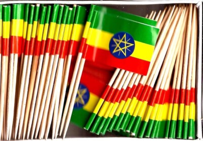 One Box of 100 Ethiopia Toothpick Flags, 100 Small Mini Cupcake Flags