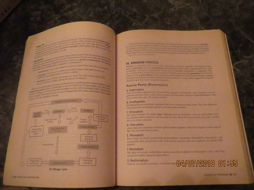 College Test Preparation Ser.: Cracking the AP Biology Exam, 2012 ...