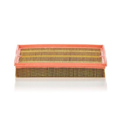 C 33 189 MANN-FILTER Luftfilter