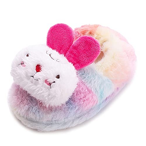 Baby Girl's Premium Soft Plush Slippers Cartoon Warm 5-6 Toddler Color/S090