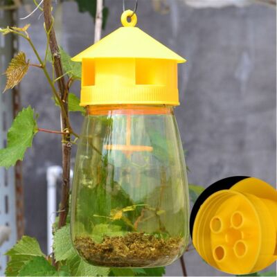 Reusable Flying Traps Killer Wasp Traps Jar Bee Trapper Bee Catcher Wasp Trap