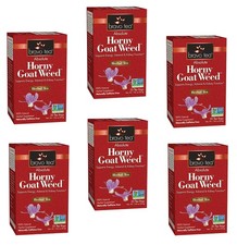 6 PACK Bravo Herbal Tea Absolute Horny Goat Weed Energy Adrenal Kidney NO GMO