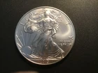 2013 American Silver Eagle 1 oz .999 Fine Silver Dollar Uncirculated