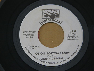 SHERRY DINNING OBION BOTTOM LAND SSS orig US GIRL GARAGE  7'' 45 NM