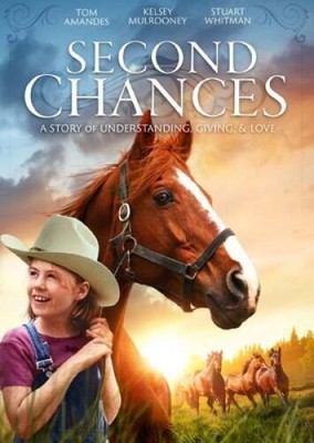 Second Chances DVD - DVD By Tom Amandes - VERY GOOD