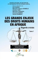 Les Grands Enjeux Des Droits Humains En Afrique | Taschenbuch | FranzöSisch