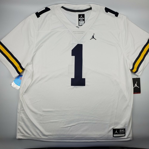 Michigan Wolverines Jordan Limited 
