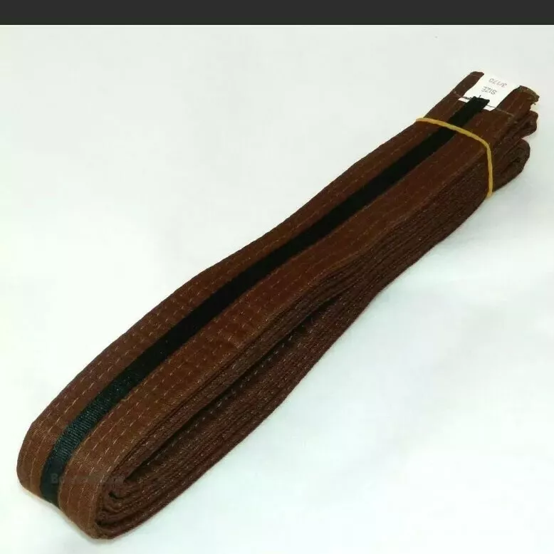 Brown Belt Philosophy &#8212; Anzu Martial Arts