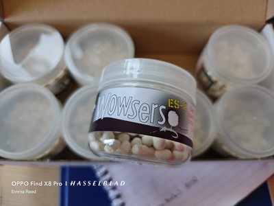 Dynamite Baits Wowsers - 7mm White Whole Box (8 Tubs)