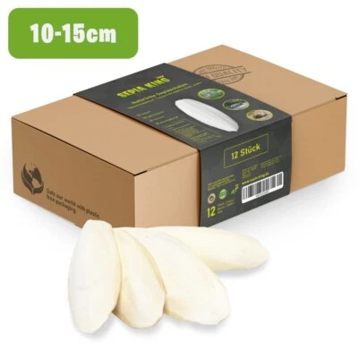 Sepia King - Premium Sepiaschalen für Schildkröten, Vögel - Sepia Schalen