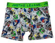 Handcraft DC Boy Justice League Superheroes Face Print Boxer Brief GrayGreen L/8