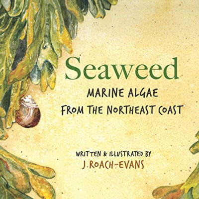 Seaweed: Marine Algae from the Northeast Coast - Paperback / softback NEW Olivei