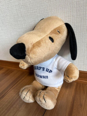 SURF’S UP HAWAII Moni Snoopy Plush Moni Honolulu Tanned Snoopy Hawaii Limited Plush Toy 19cm used | eBay