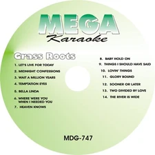 MEGA DISC KARAOKE 14 GREAT SONG GRASS ROOTS NEW cdg CD+G SOONER L8ER LIVE 4 2DAY
