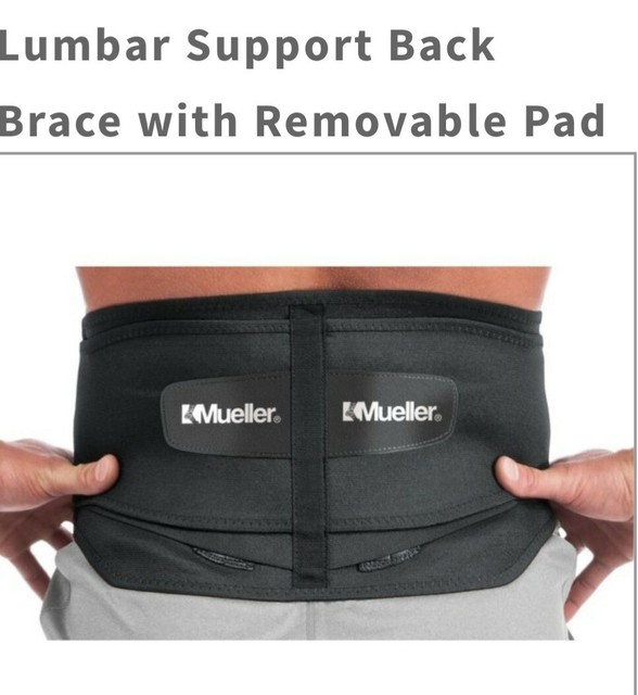 Mueller 255 Lumbar Support Back Brace with Removable Pad Regular 28