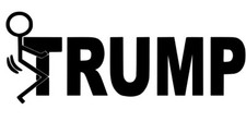 Vinyl Decal - President Elect Donald J. Trump