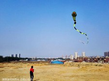 new3D 40 meters Stunt huge SNAKE POWER Sport Kite outdoor toy free shipping