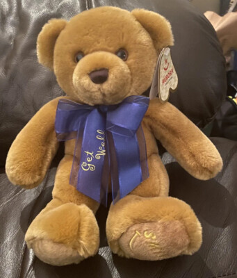 Brown AURORA Gifts of Smiles Teddy Bear Embroidered Paw Blue Get Well Ribbon 11 