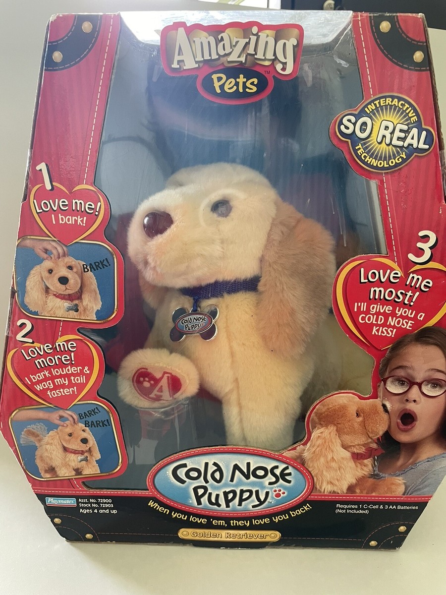 Nose Turning My Dog's Nose Is Cold 15+ Thousand Golden