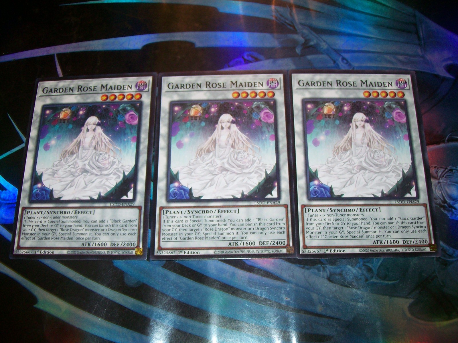 3x Garden Rose Maiden 1st Edition Common L5DD-ENA29 Yu-Gi-Oh!