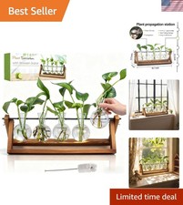Plant Propagation Stations with Wooden Stand 5 Glass Bulb Vases