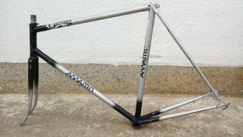 VINTAGE STEEL BICYCLE FRAME SET AMASTRO 700c - Picture 5 of 8