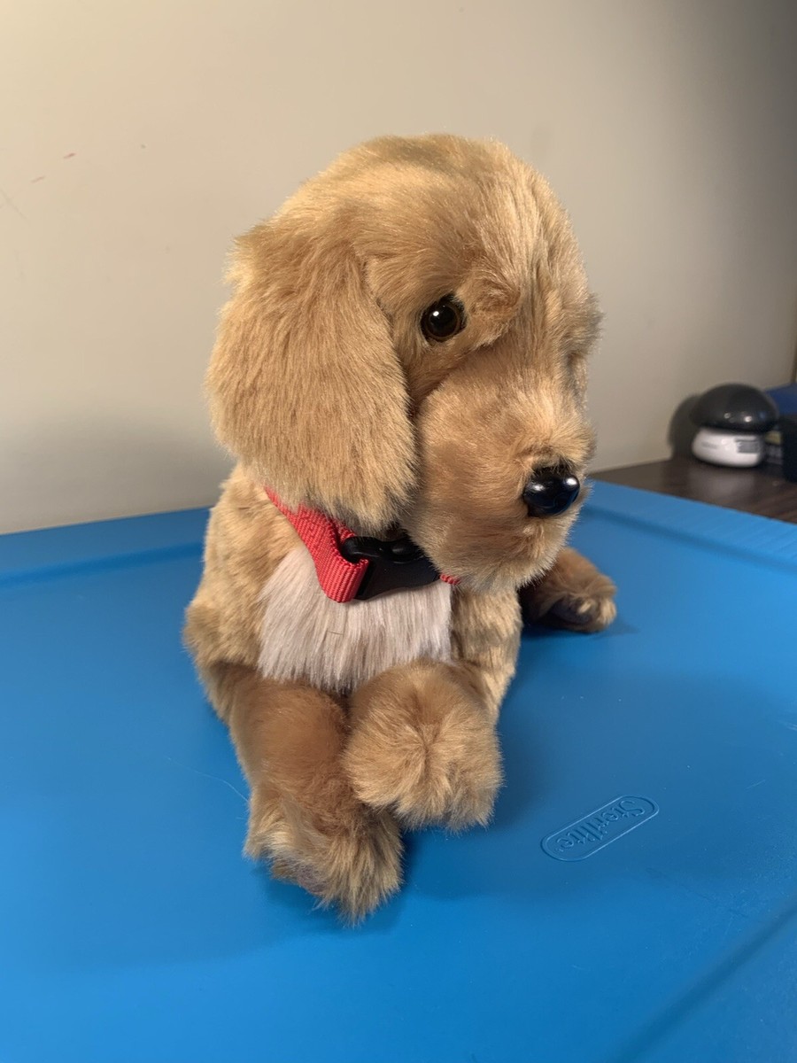 超希ラスト1少美品クッションアメリカブランド Dog DigginDesigns 超希ラスト1少美品クッションアメリカブランド Dog DigginDesigns 超希