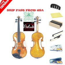 Capriana Gagliano Violin Outfit 4/4-1/2 VN301S-Y Silence Package