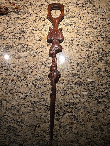 Walking Stick