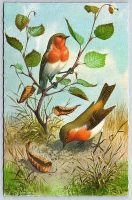 Alfred Mainzer~Birds Hunting Bugs W/ Sapling~Printed In Belgium~Vintage Postcard