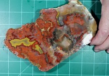 Really rare quality Paint Rock Agate end cut slab