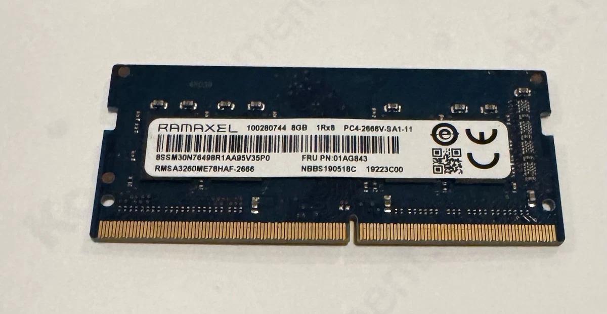 Ramaxel Computer PC4-21300 (DDR4-2666) Bus Speed Memory (RAM) for
