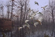 2018 Arkansas Ducks Unlimited Print Signed AP Monday Morning Mallards - Pollard